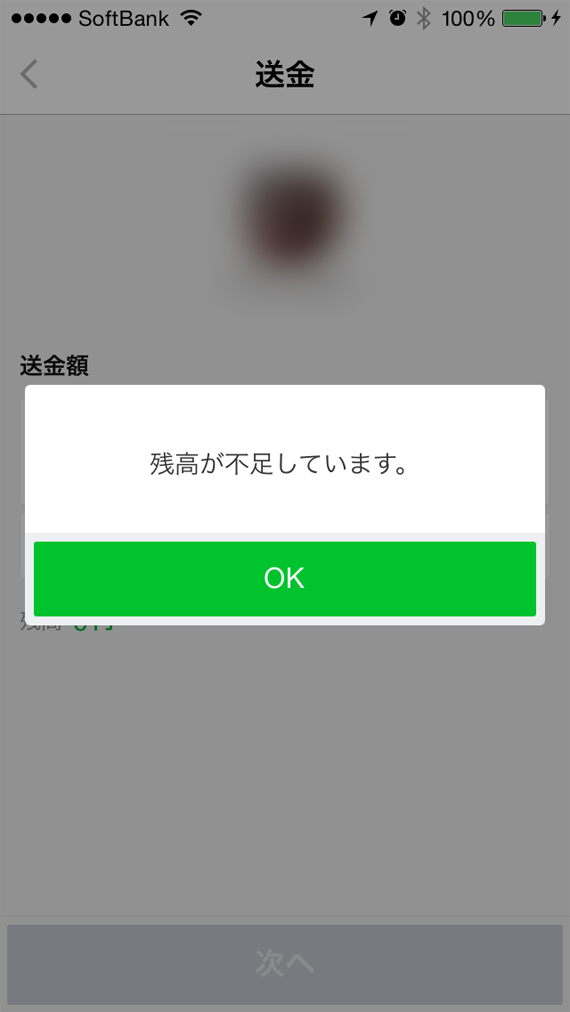 line-pay-ss-13